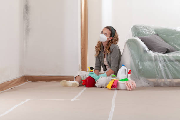 Reliable Mold Remediation contractor in Medford, OR by 24 Hour Mold Removal